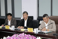 Japanese firm eyes biomass power, agro-processing projects in Vinh Long